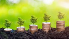 stacks of coins with plants on top