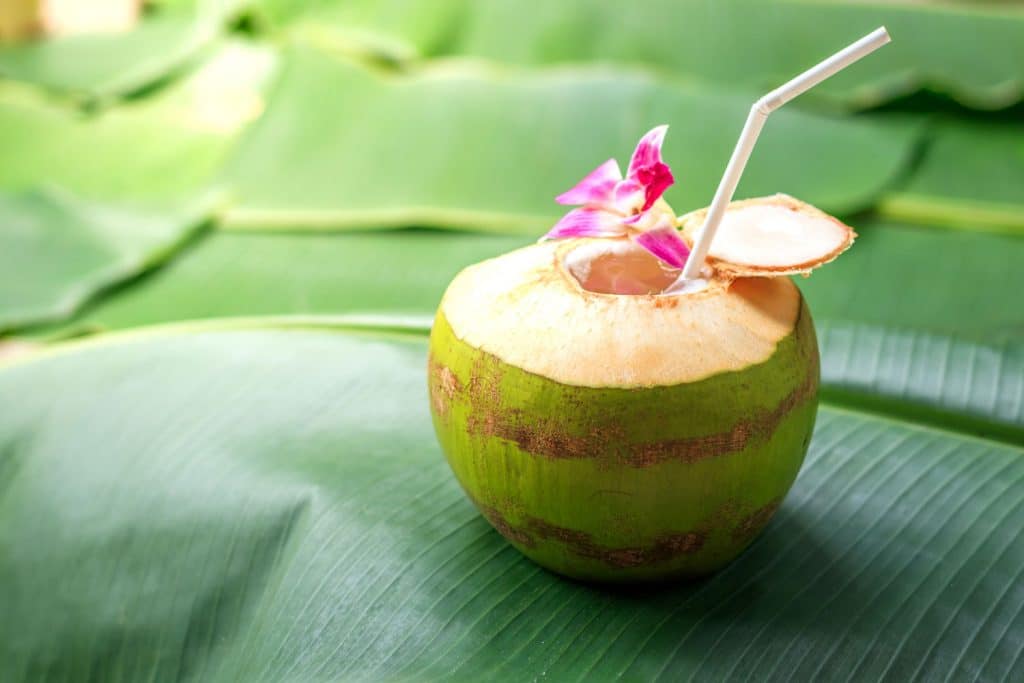 Asian fruit: Coconut