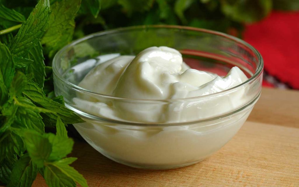Yogurt - Кисело мляко - Bulgarian Food