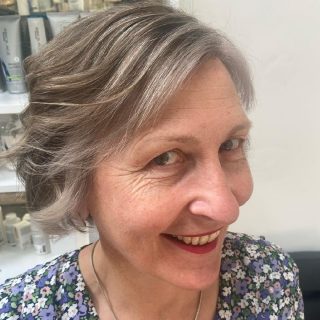 gray hair with dark highlights