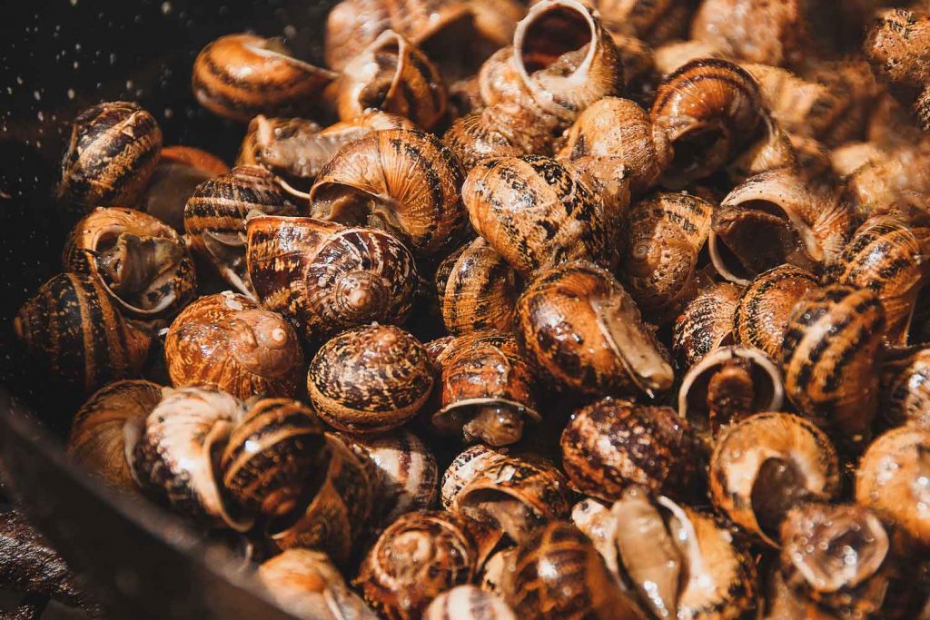 Greek delicacy Snails