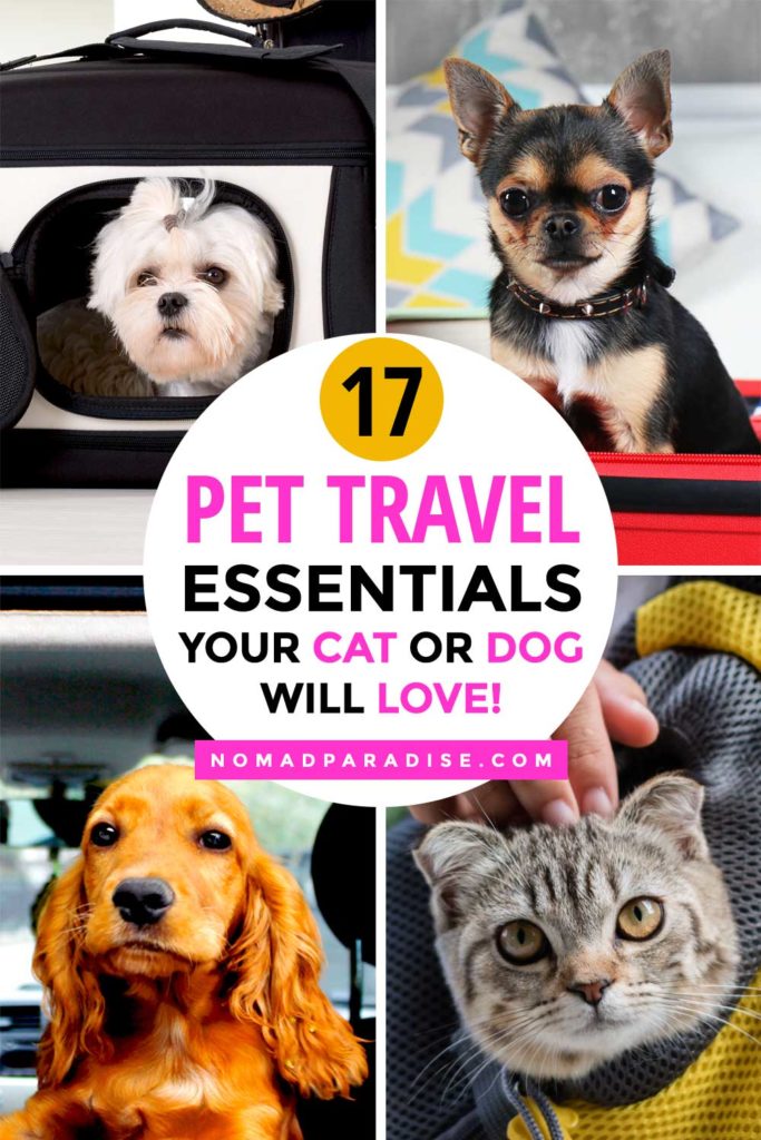 pet travel accessories