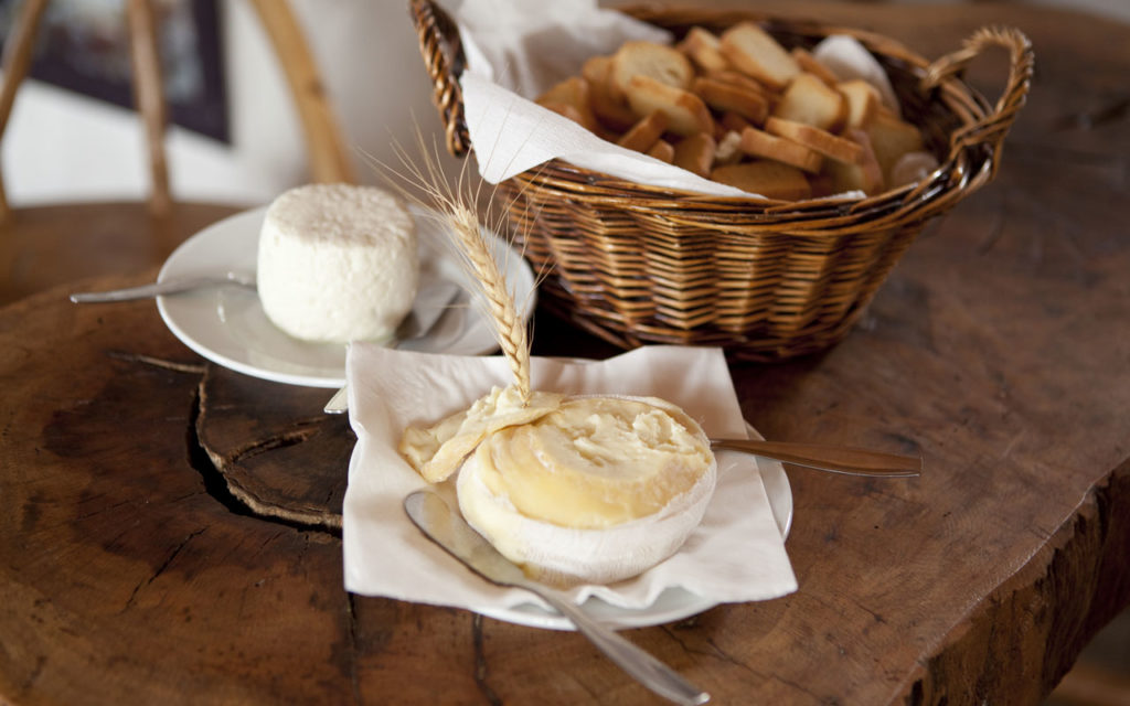 Portuguese Food: Queijos (Portuguese Cheeses)