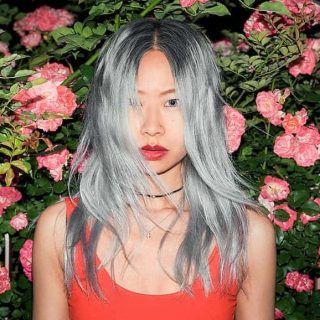 silver highlights