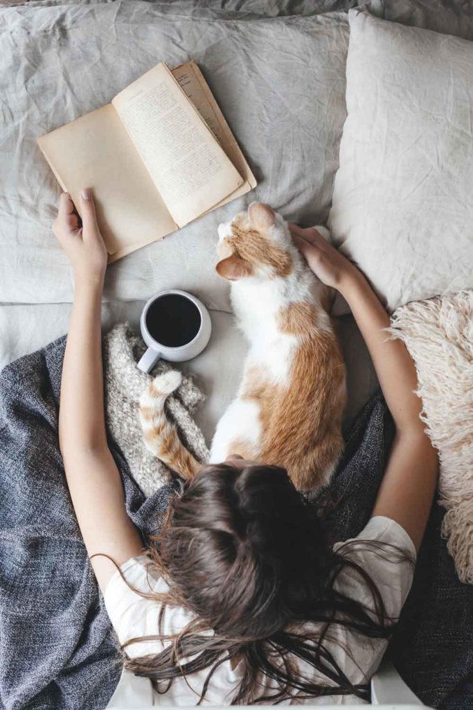 Staycation idea: reading a book with coffee while cuddling with a cat.