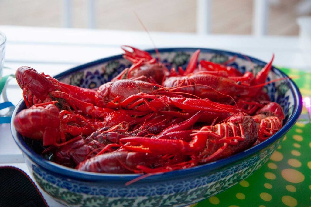 Swedish Food: Kräftor  – Crayfish
