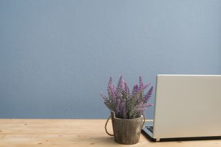 laptop next to pot of lavender on desk