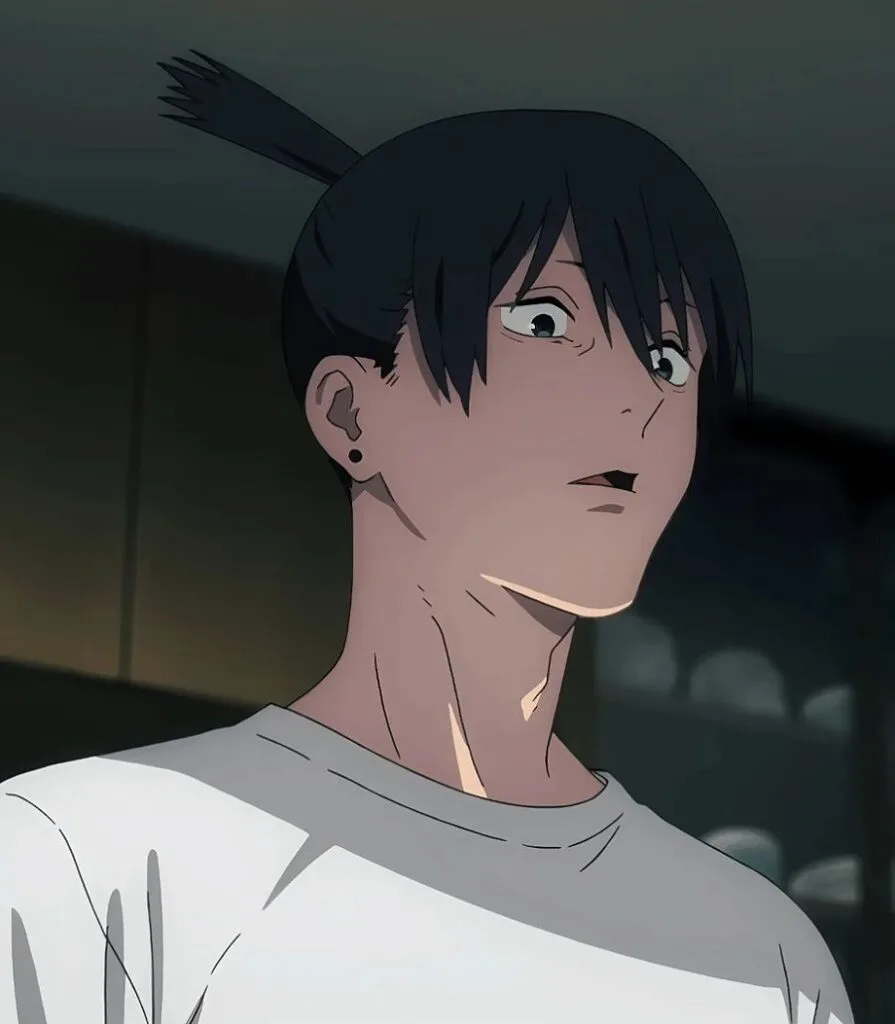 Anime Guy With Black Hair- Aki Hayakawa