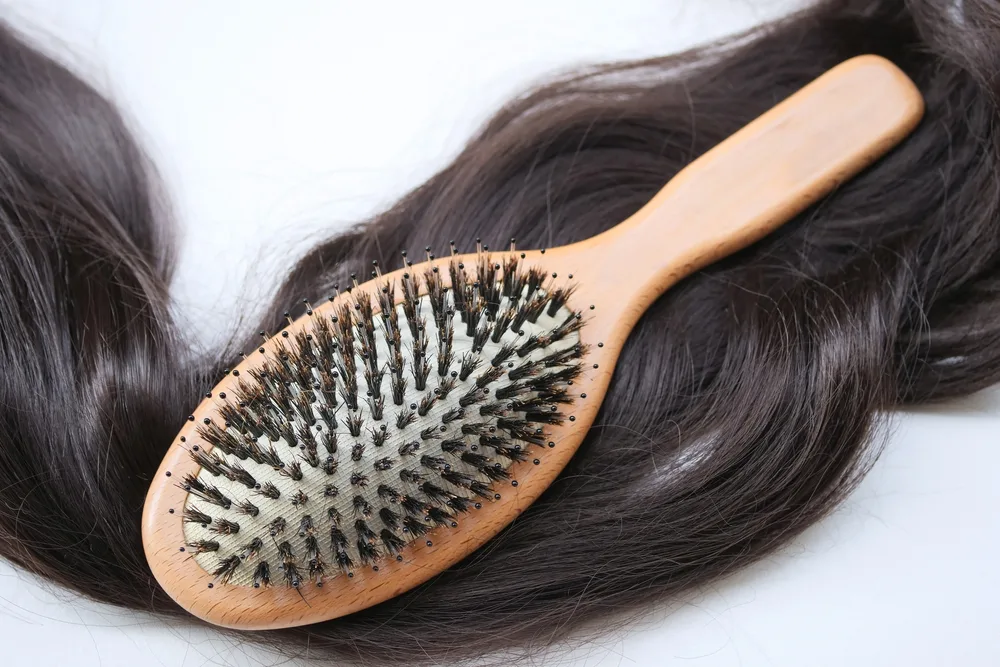 boar bristle brush buying guide