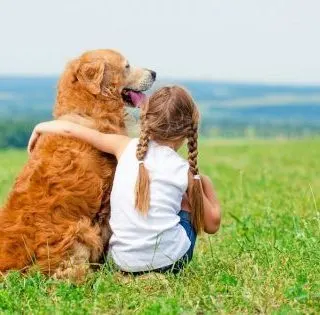 little girl braided hair