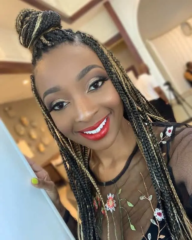 Black Braided Updo