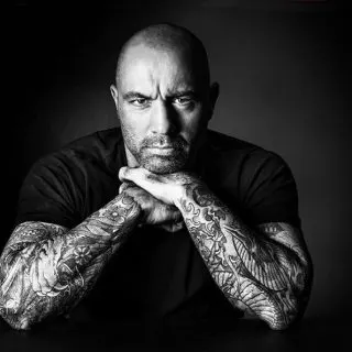 joe rogan beard