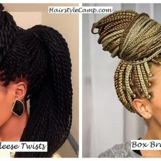 senegaleese twists and box braid difference