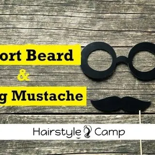 short beard with long mustache style