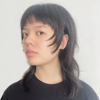 wolf mullet